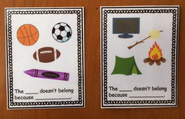 What Doesn't Belong Cards 2 - The Autism Helper