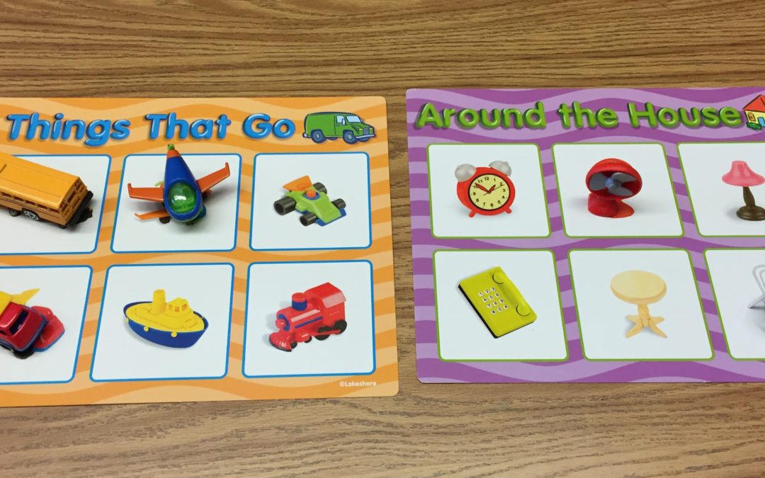 Using Visuals to Answer “Wh” Questions