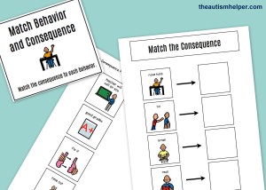 The Autism Helper - Behavior File Folders