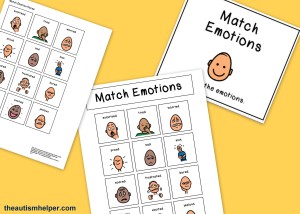 The Autism Helper - Emotion File Folders