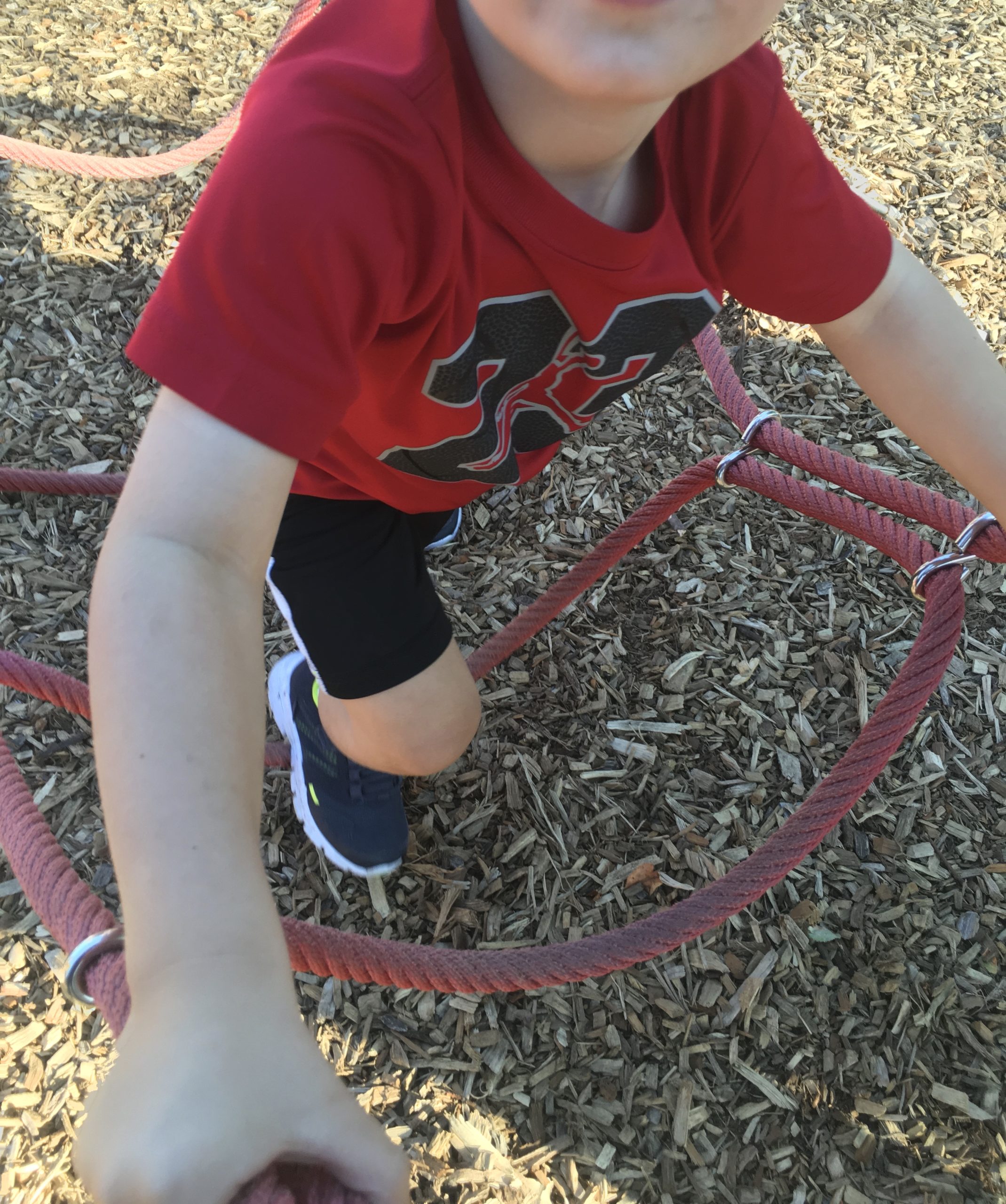 IMG-3727