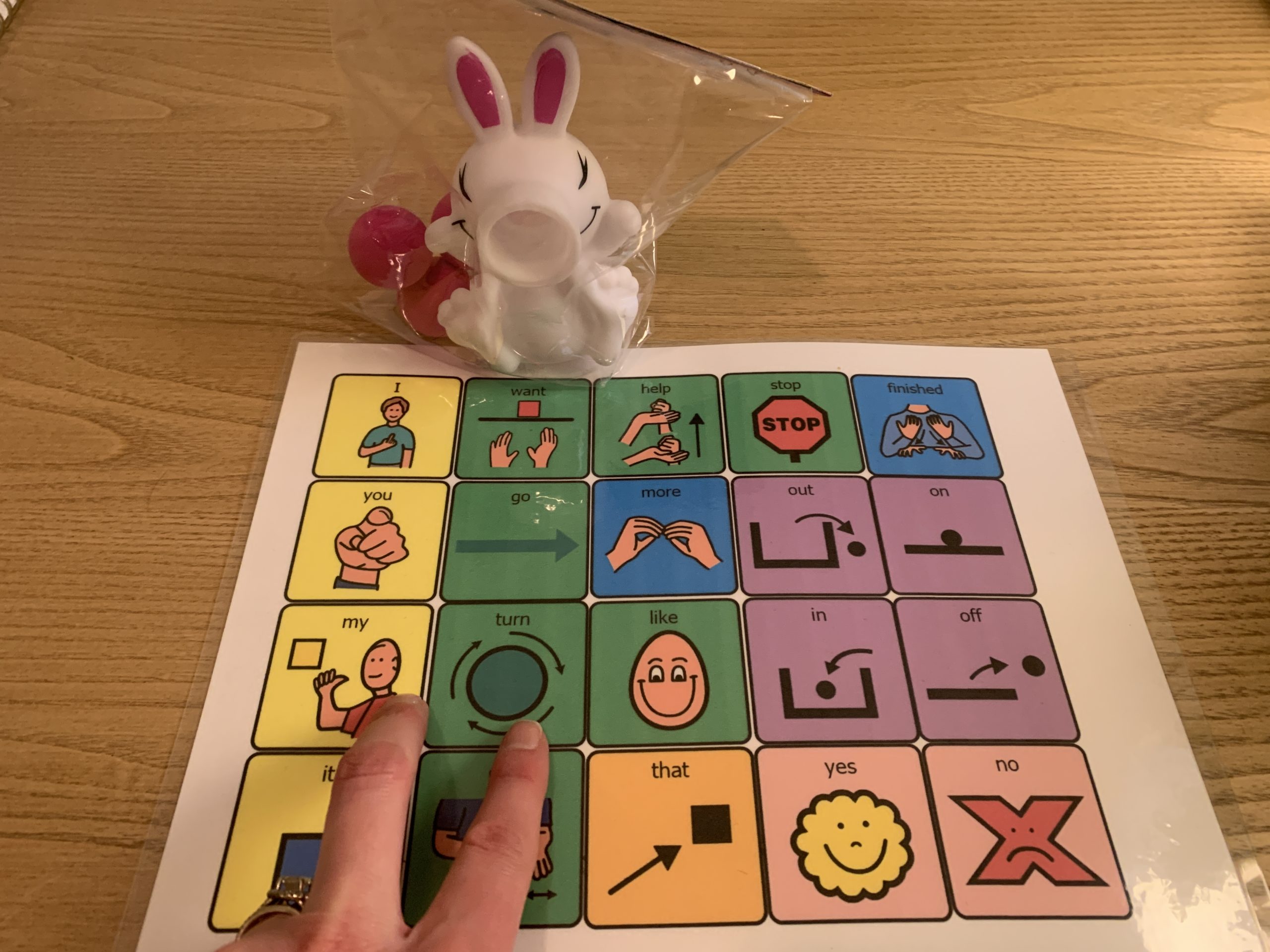 Spring Animal Language and Learner Lessons