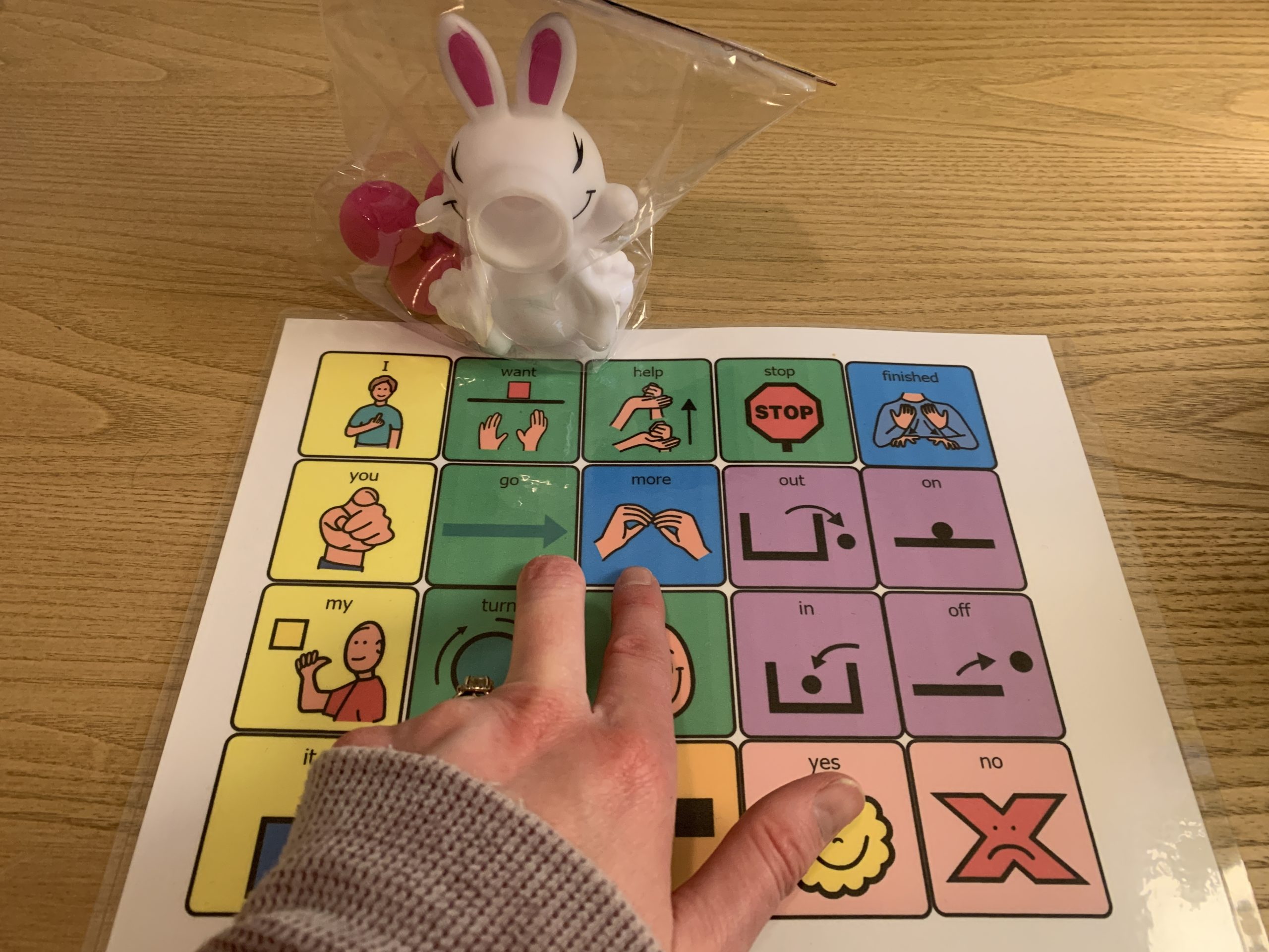 Spring Animal Language and Learner Lessons