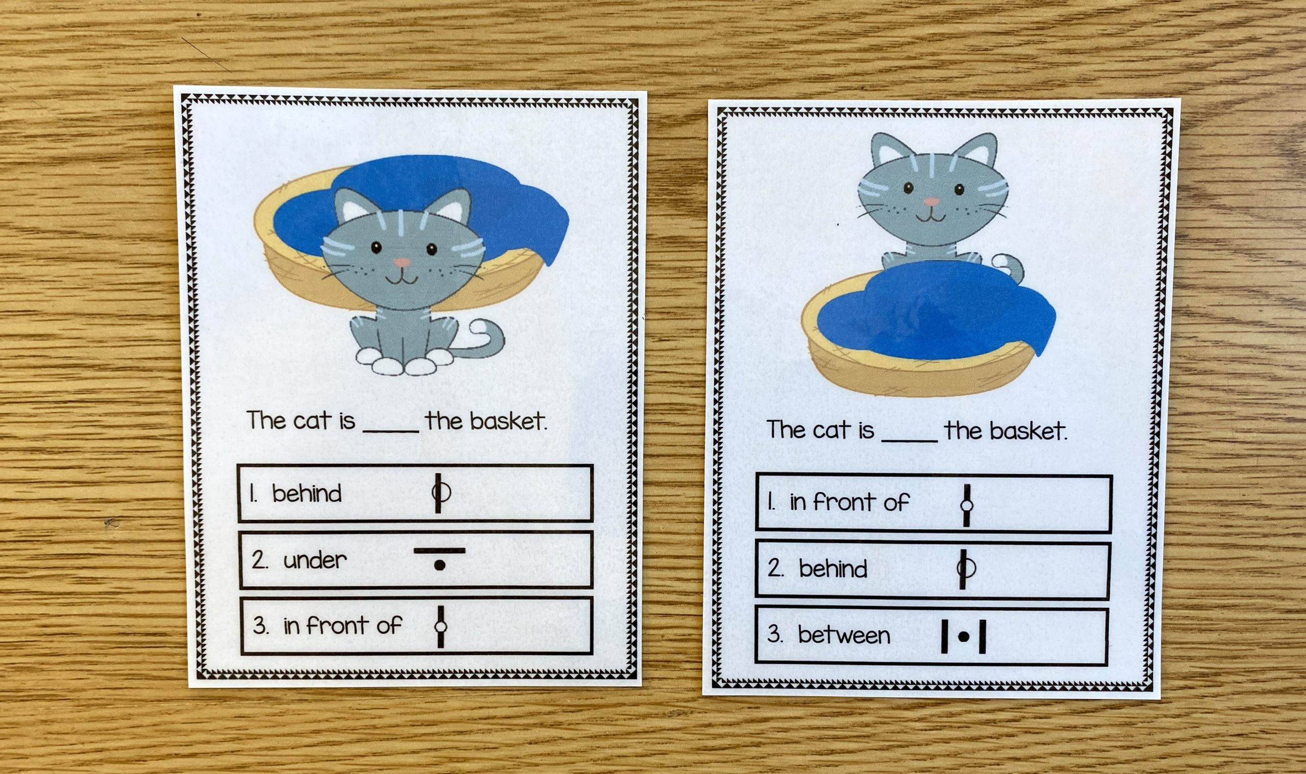 Preposition Boards Cat