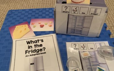 What’s in the Fridge Activities