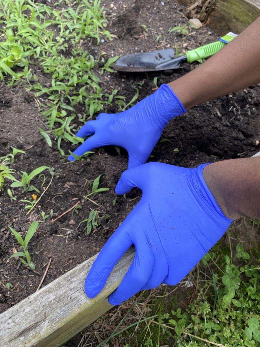 gardening