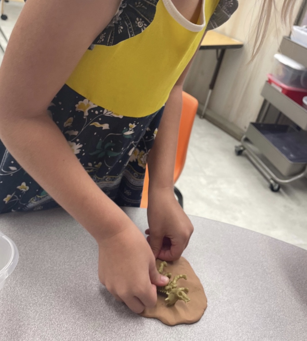 Easy ESY Lesson Plans and Activities