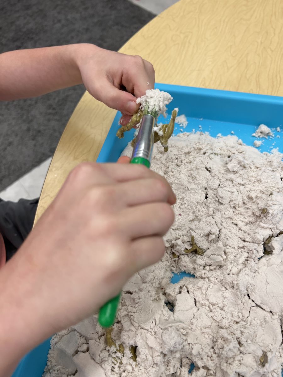 Easy ESY Lesson Plans and Activities