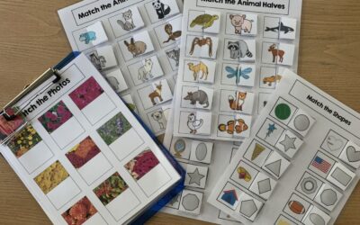 Building up to Complex Matching Skills