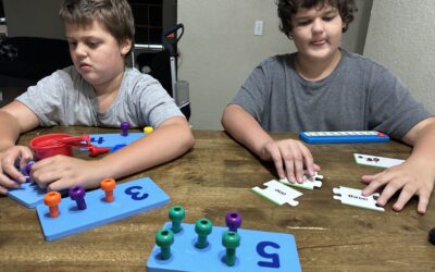 Prepping For a New Homeschool Year: Part Three