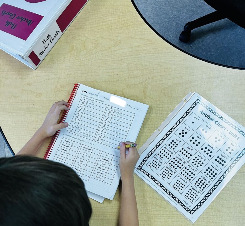 This student is working on TAH Leveled Daily Curriculum.