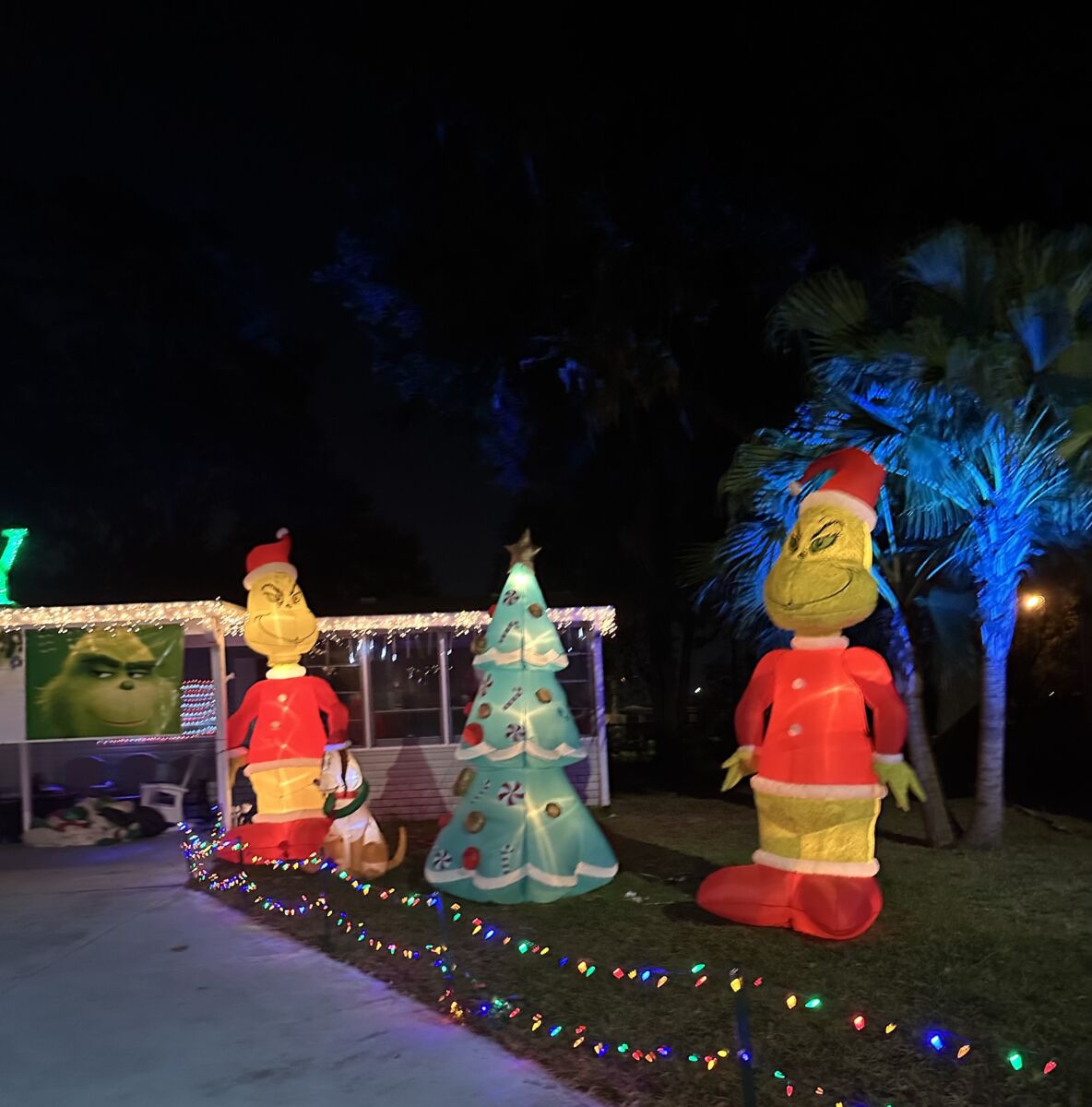Viewing Christmas Lights