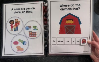 Nouns and Verbs: From Books to Play