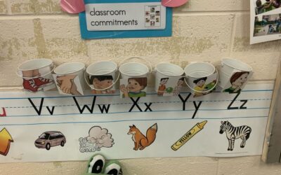 Setting Up a Visually Structured Classroom: Little Details, Big Impact