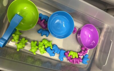 Planning for the Fall: Part 4 and 5 – Visually Structured Tasks and Routines