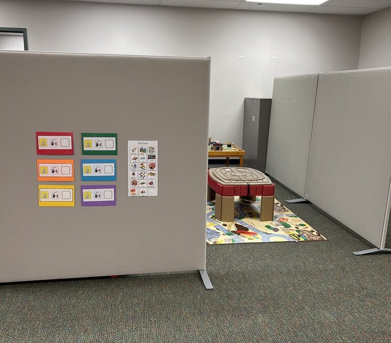 Creating a Predictable Environment to Decrease Behaviors and Increase Independence