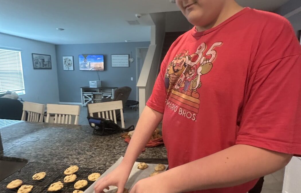 Back to Homeschool: How to Assess Where Your Child Is Starting This Year