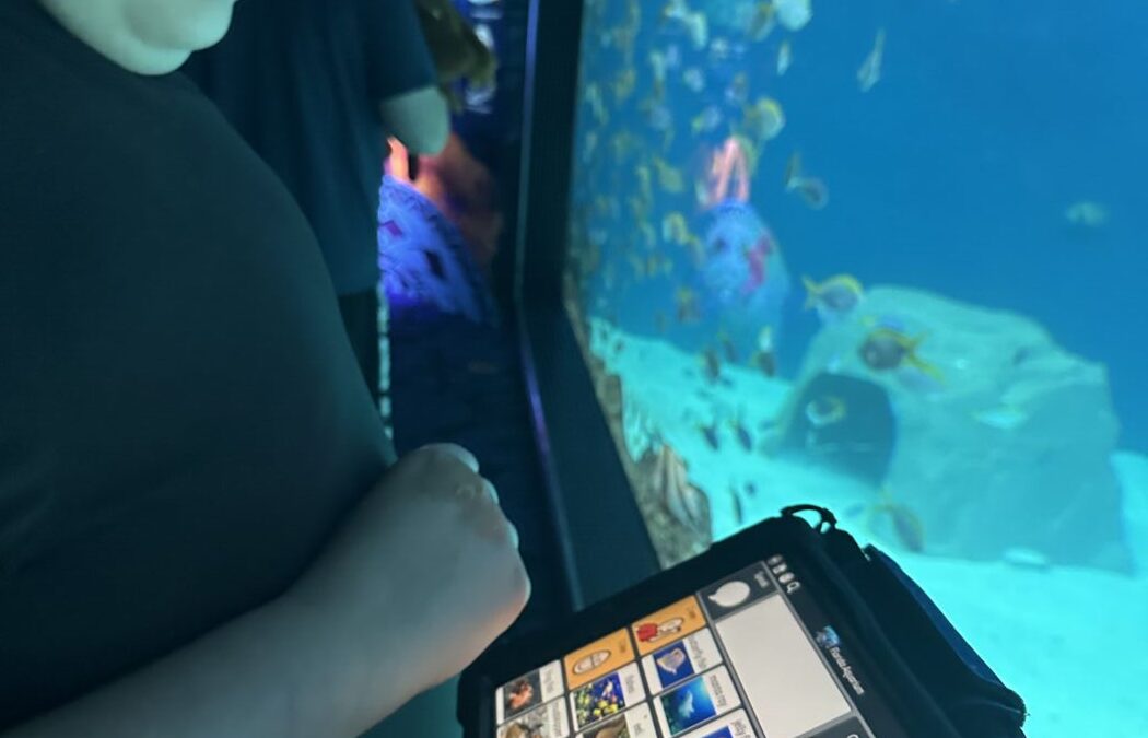 AAC Awareness Month: Building Language Every Day in Your Homeschool