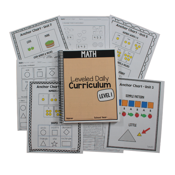 Executive Functions Masterclass