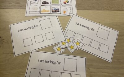 Evidence-Based Supports for Teaching Executive Functions